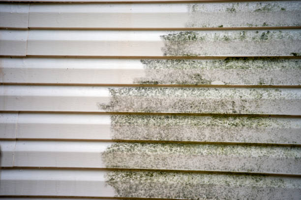 Same-Day Junk Removal Services in New Holstein, WI